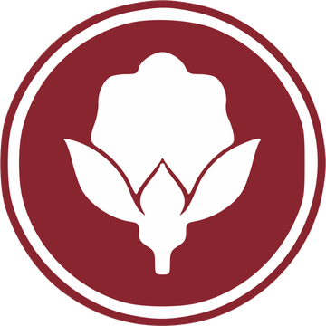 wiśniowy