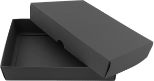 Box (16,3x19,3x5 cm)  1271037